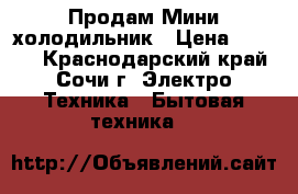 Продам Мини холодильник › Цена ­ 3 500 - Краснодарский край, Сочи г. Электро-Техника » Бытовая техника   